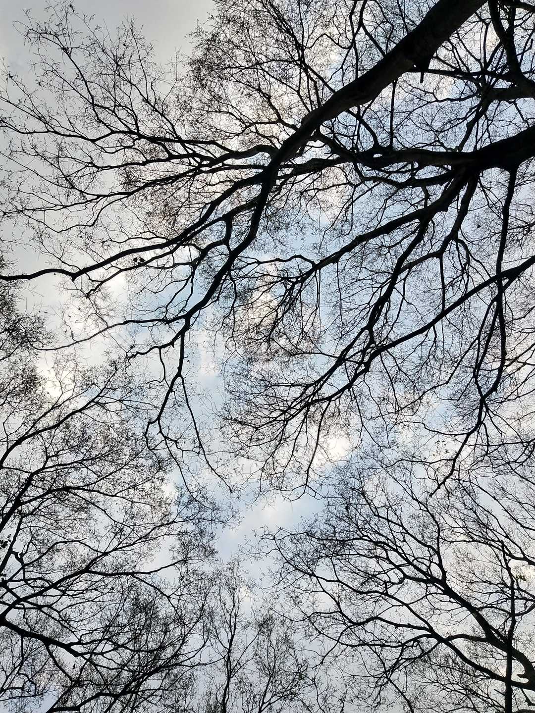 情知不久须相见，一日甚三秋，愁来不自由。‖马坝人遗址公园