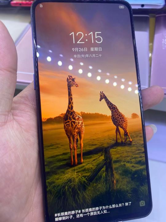 三星手机锁屏密码忘记了怎么解决,vivo忘记手机锁屏密码怎么办