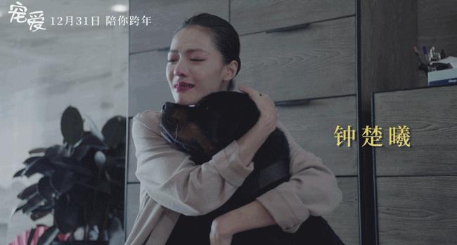 隔离的日子如同宅家,被隔离的日子真难熬吗