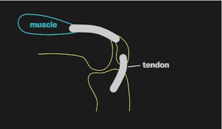 膝盖疼打封闭好还是中医针灸好,膝盖疼痛用什么药才能治好它