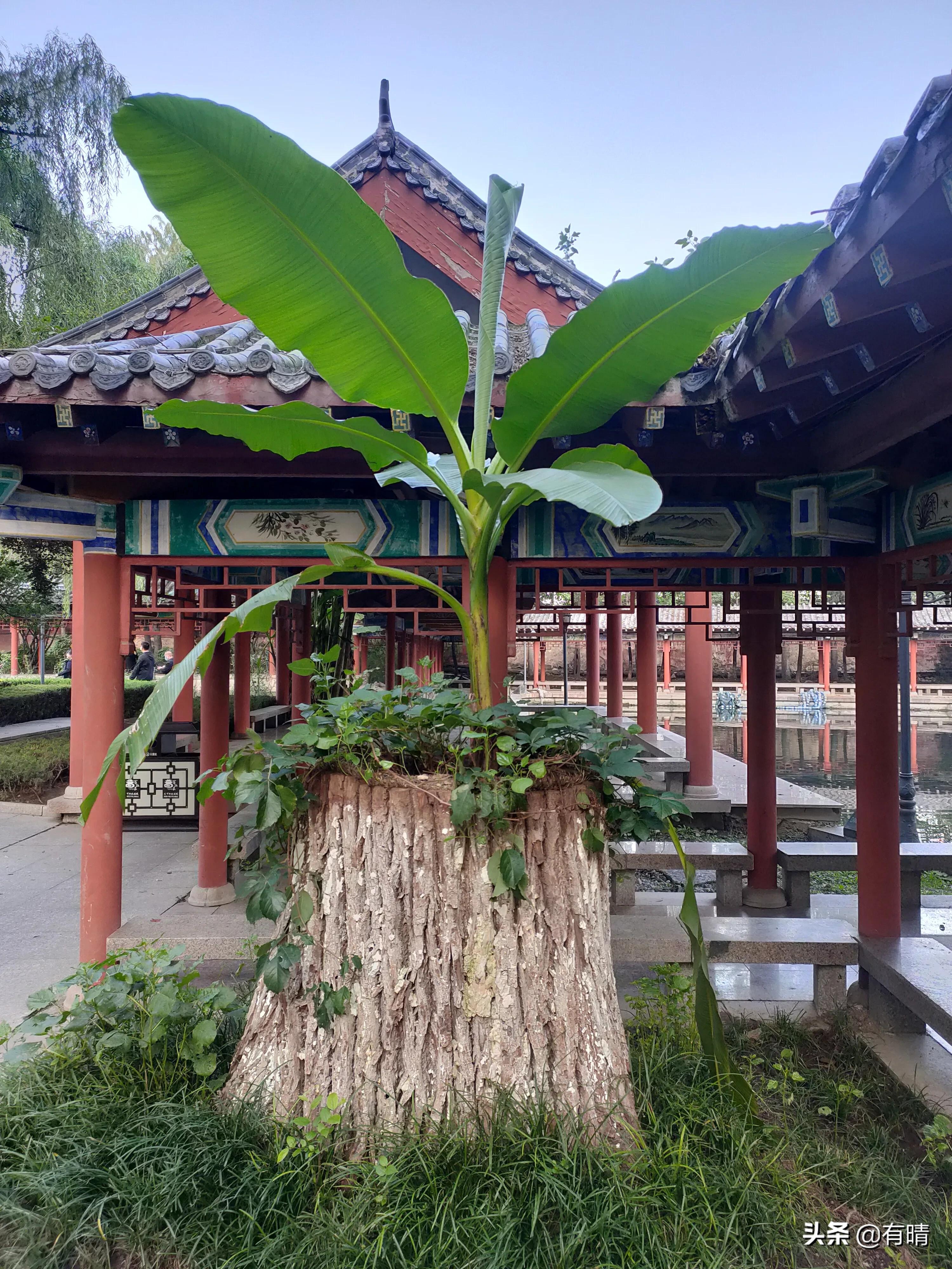 章丘景点百脉泉,七十二泉之章丘百脉泉