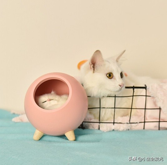 送女朋友什么礼物最有意义排行榜,第一次给女朋友过生日送什么礼物