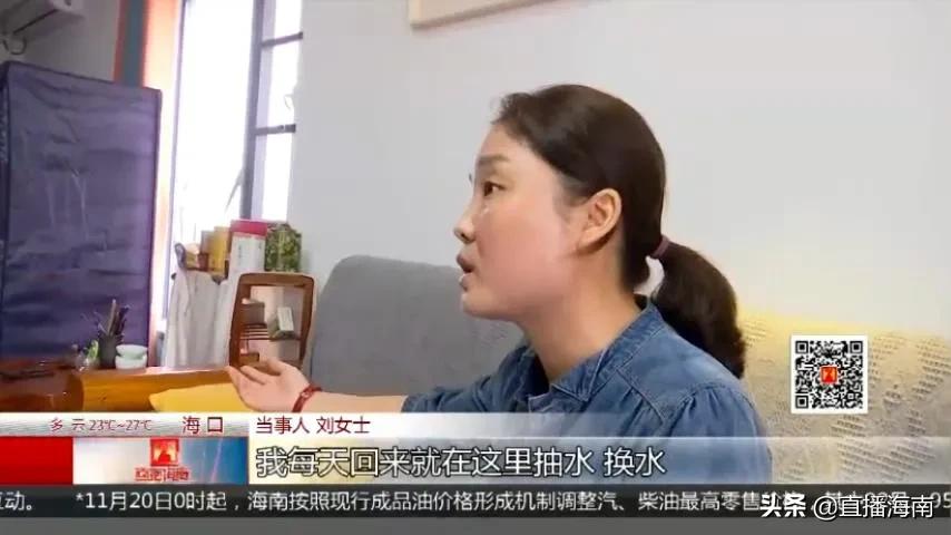 海口市绿地海长流,海口绿地缤纷城业主论坛