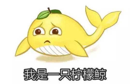 中国移动查网龄送流量方法,怎样用中国移动查网龄送流量