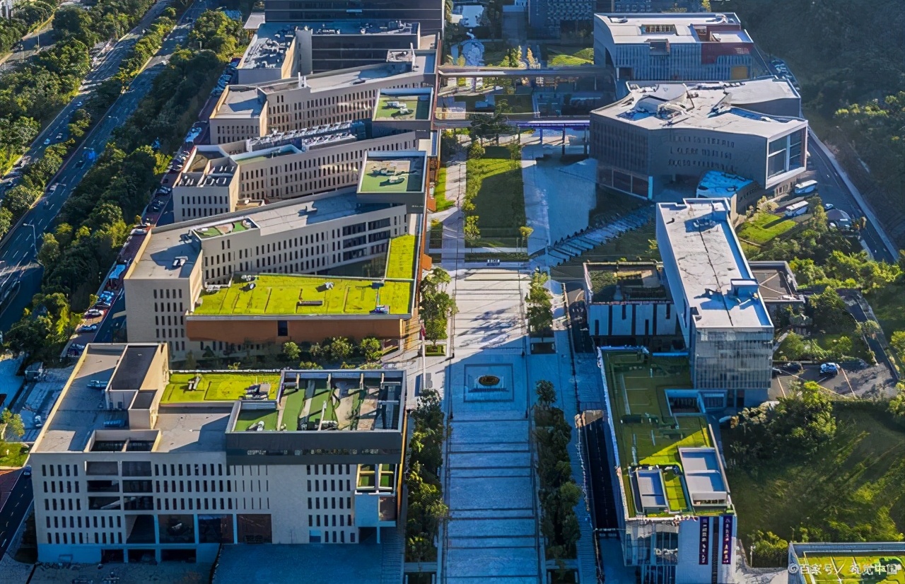 香港中文大学深圳校区2021分数线,香港中文大学深圳校区985还是211