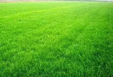 农村致富金点子100个,农民发家致富点子