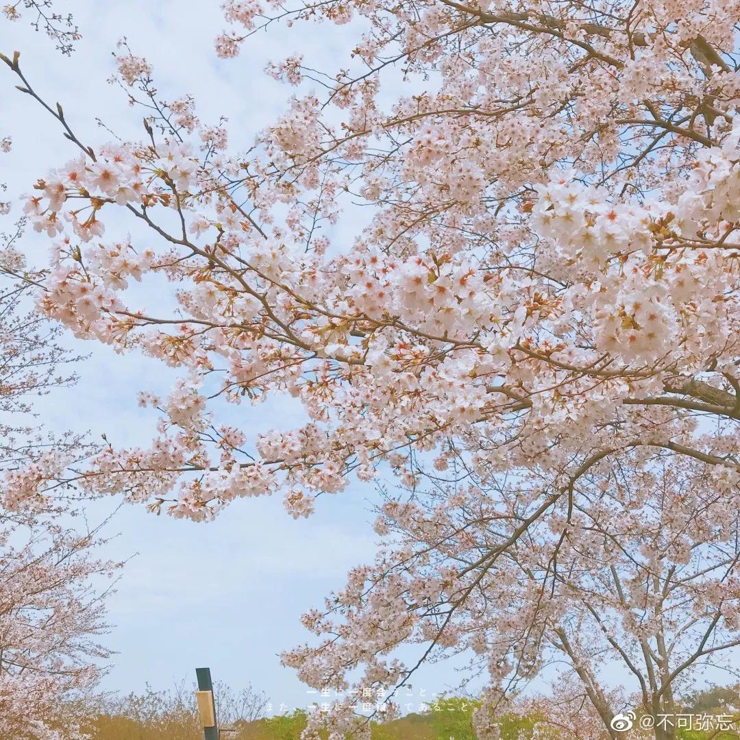 辟谣、吃酱油加深痘印?芦荟胶治好痘坑?别傻了!