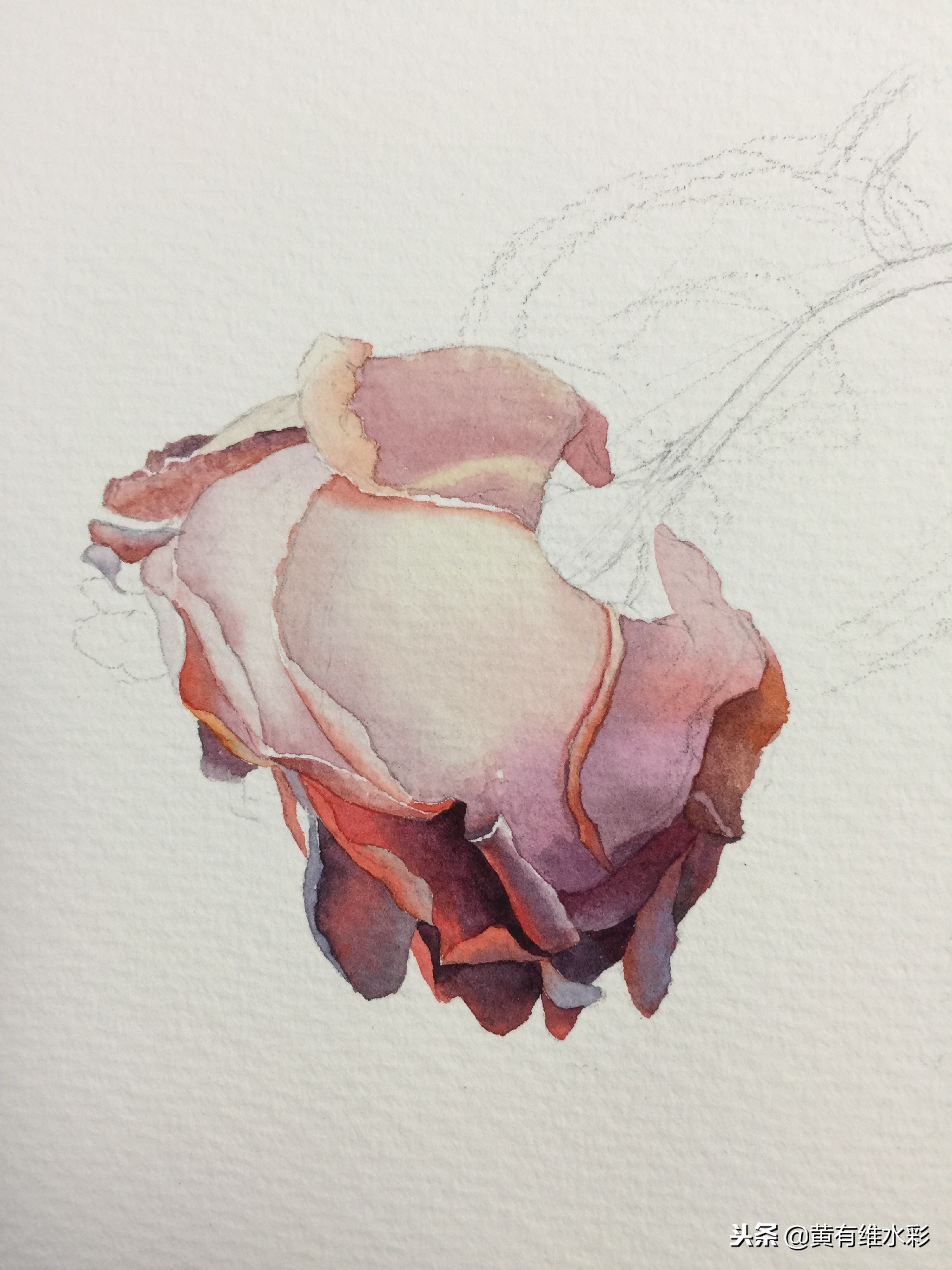 水彩教程简单好看手绘图片,水彩教程画花