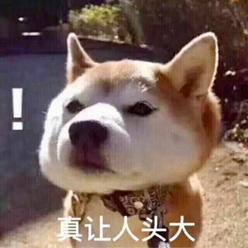 老王老婆吵架搞笑段子,老公和老婆接吻搞笑段子