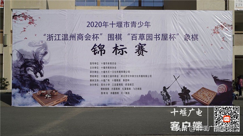 湖北省2024年青少年围棋锦标赛,省青少年围棋锦标赛