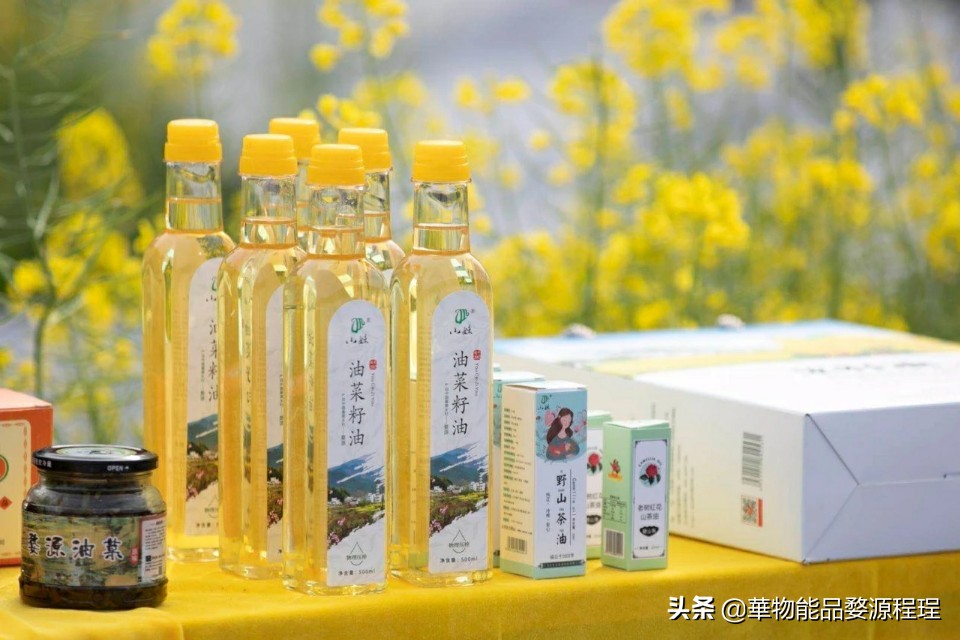 江西婺源油菜花音乐节,婺源油菜花文化节