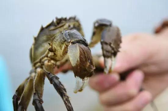 上海的魅力在什么地方,上海十六个区哪个区最好