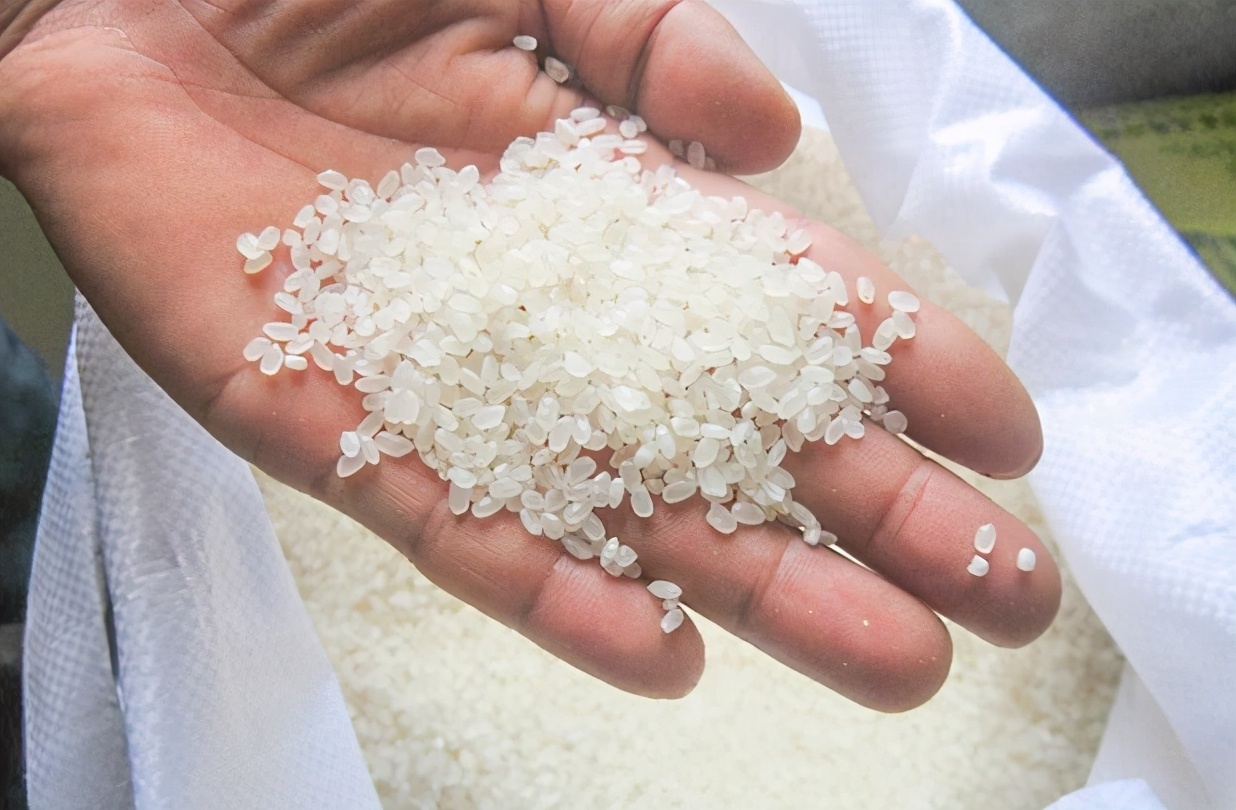 买大米买散装还是袋装,买大米散称好还是袋装好