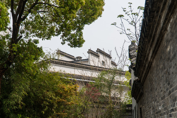 踏春赏花拍美景,踏春赏花逛湖