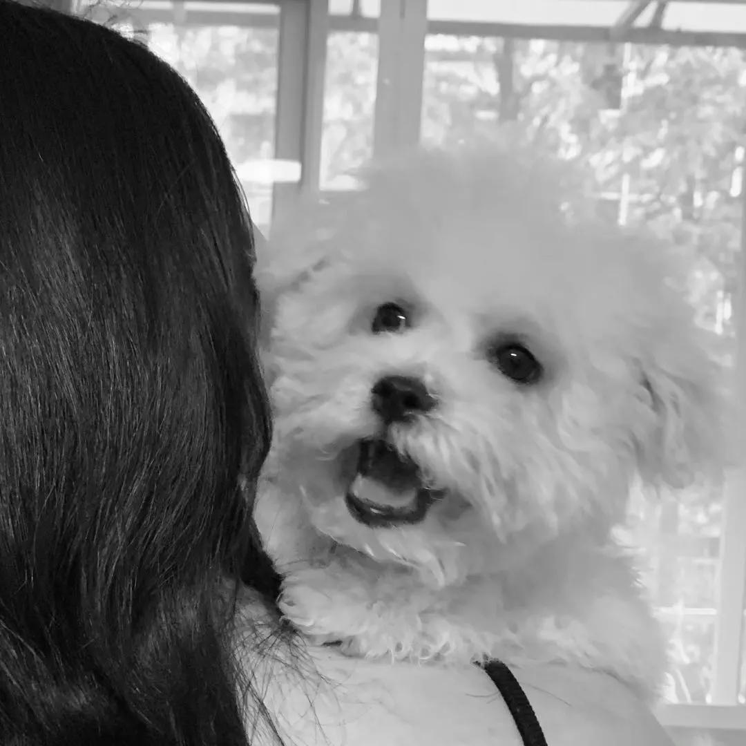 cctv村里来了个农业特派员,村里的联络员