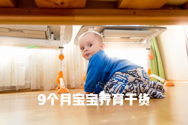 9个月宝宝好调皮,如何培养9个月宝宝自主玩耍