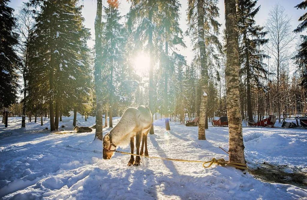 欧洲童话般的小镇,欧洲旅行童话小镇