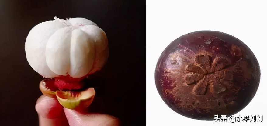 水果山竹挑选技巧,挑水果山竹怎么挑