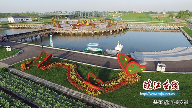 和县蔬菜产业发展,蔬菜产业如何与乡村振兴有效衔接