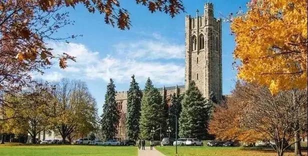 北京中加国际学校在哪,北京中加学校最新消息