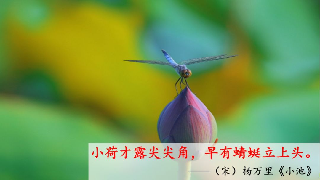 部编版一年级语文上识字表,识字一春夏秋冬课文