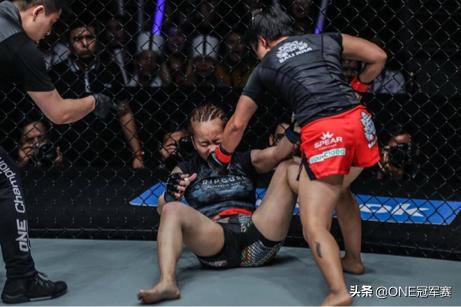 后记的主要内容和感悟,后记写法