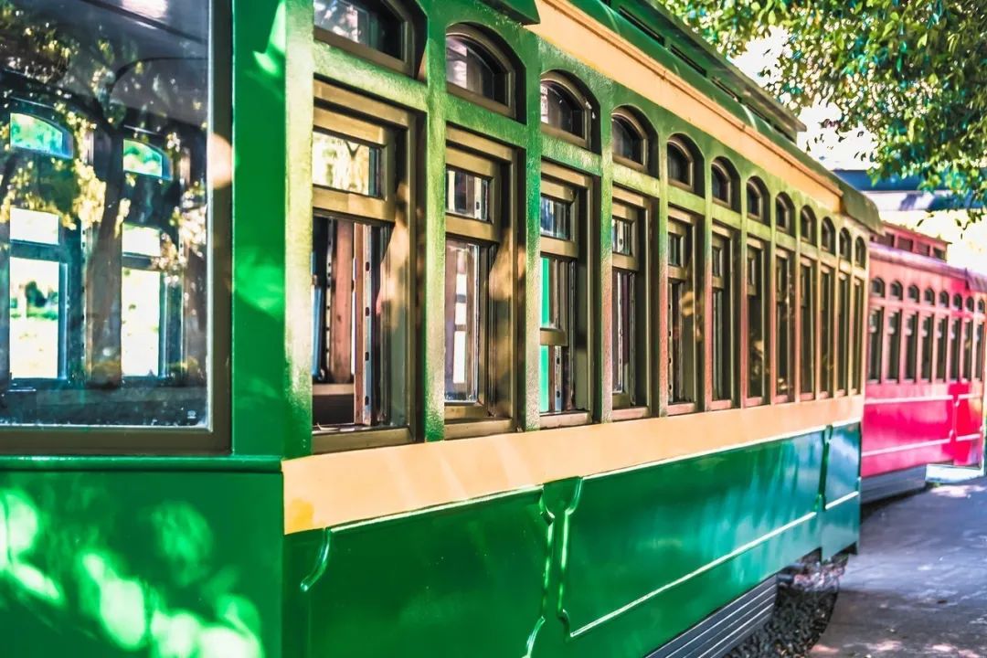 春意盎然的湿地公园,一个风景如画美丽休闲的公园