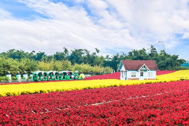 广东适合情侣旅游景点推荐,适合情侣旅游的广东景点