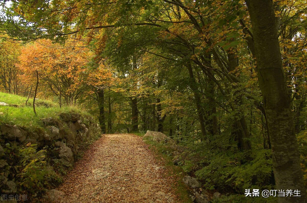秋天爱脱发是什么原因,孩子秋天脱发严重吗