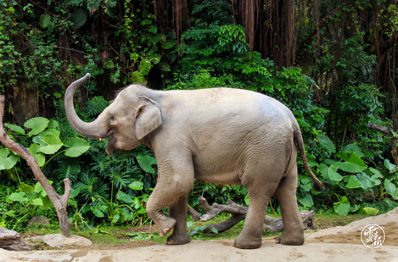 沧源县的风景区有哪些,云南沧源有什么好玩的地方