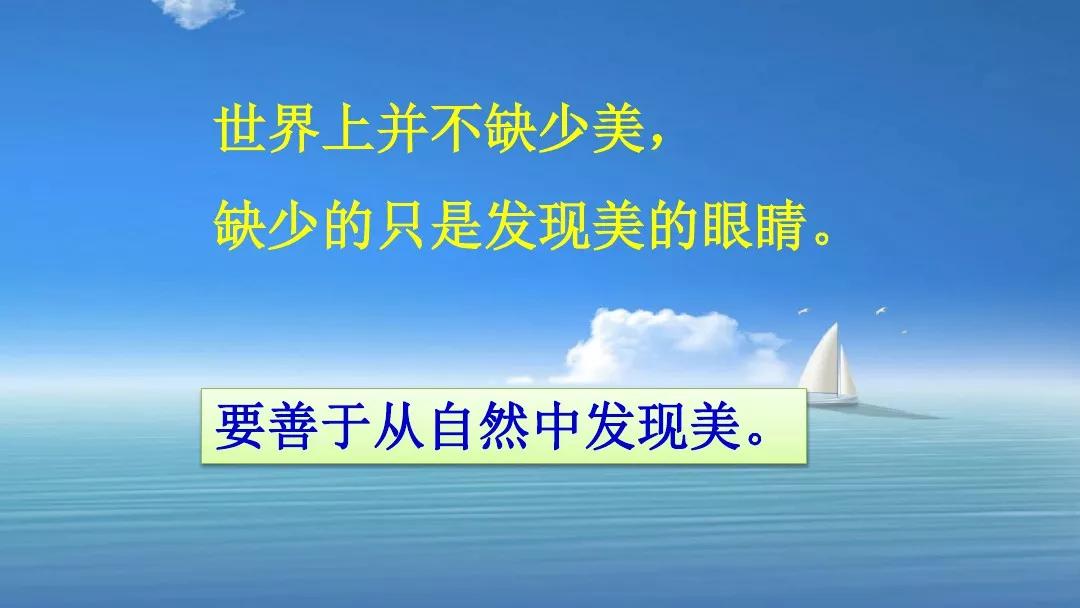 五年级部编版语文白鹭讲课视频,部编小学语文五年级上册白鹭课件