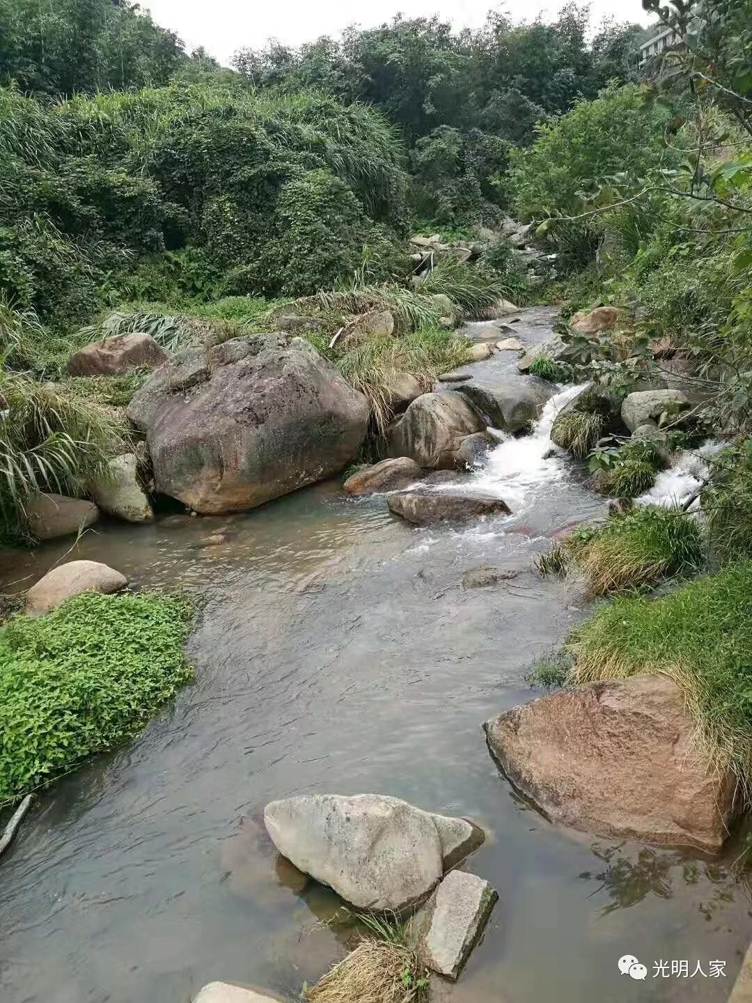 平阳鳌江镇古村落,鳌江市古村视频