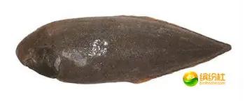 舟山海鲜代加工攻略,最全舟山海鲜攻略