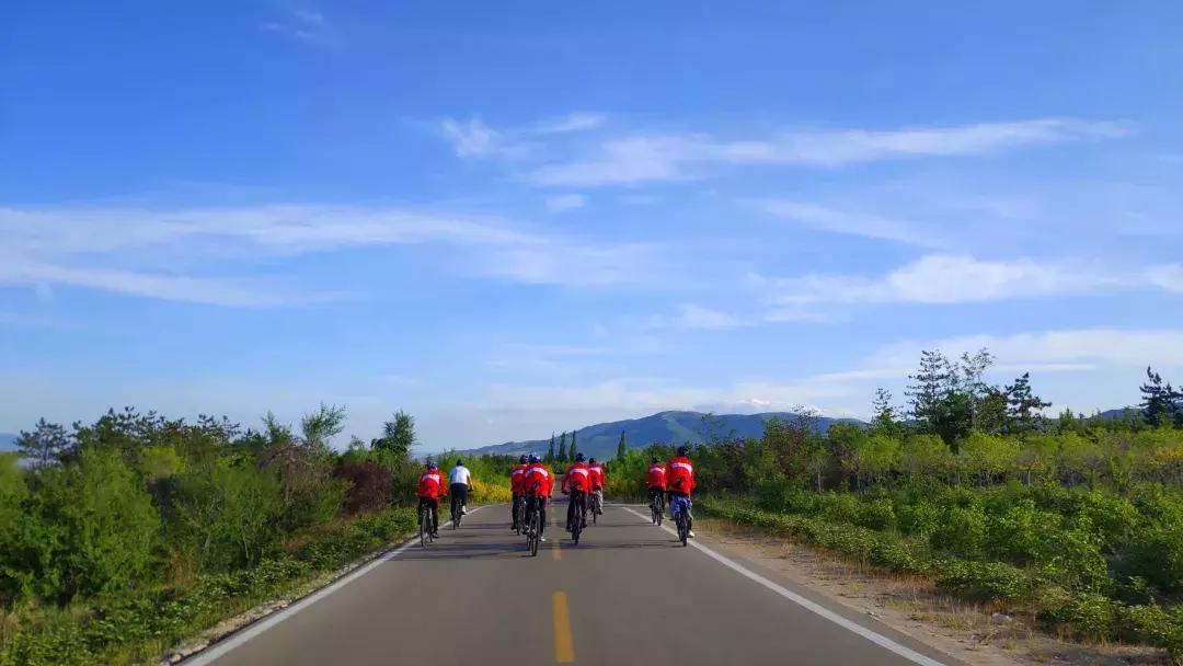 一个“疯老师”和11个“问题学生”的一场孤注一掷的冒险