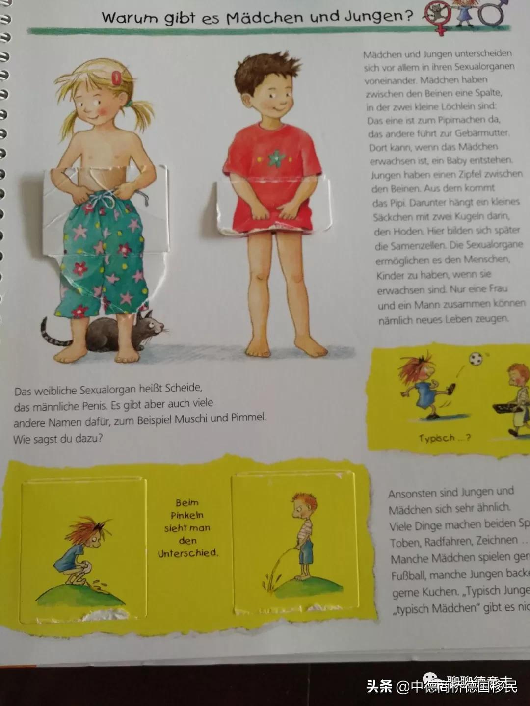 德国性教育绘本,德国儿童性教育