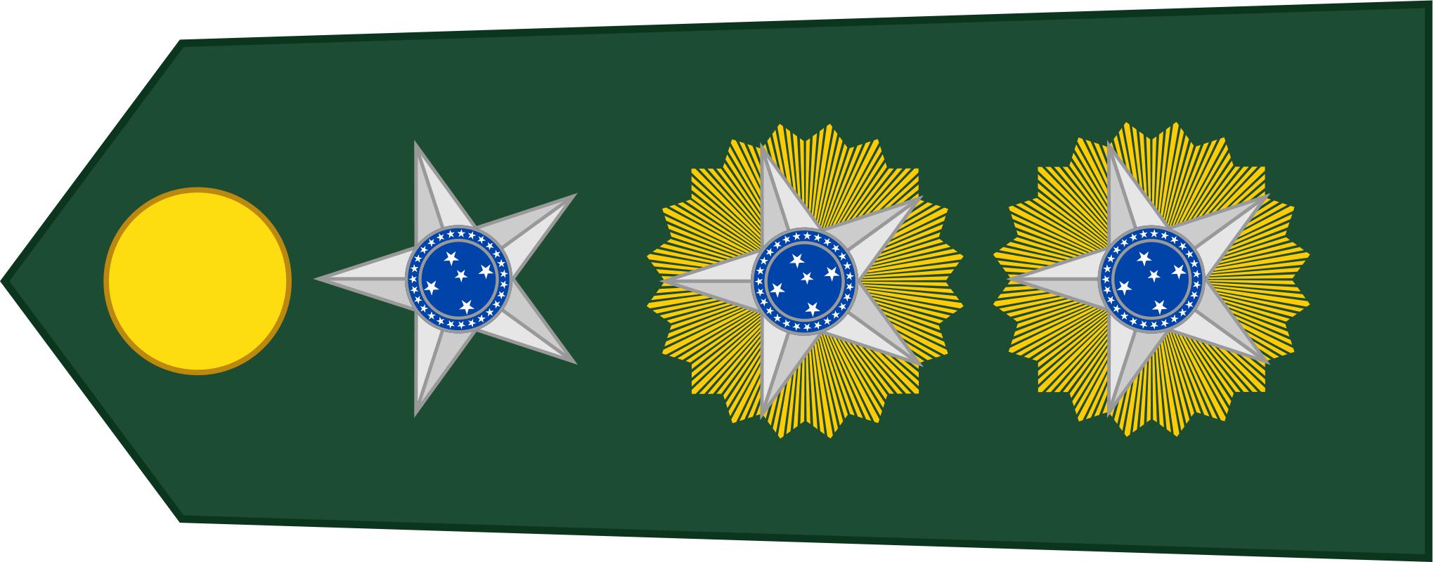 巴西军队标志,巴西海军军衔