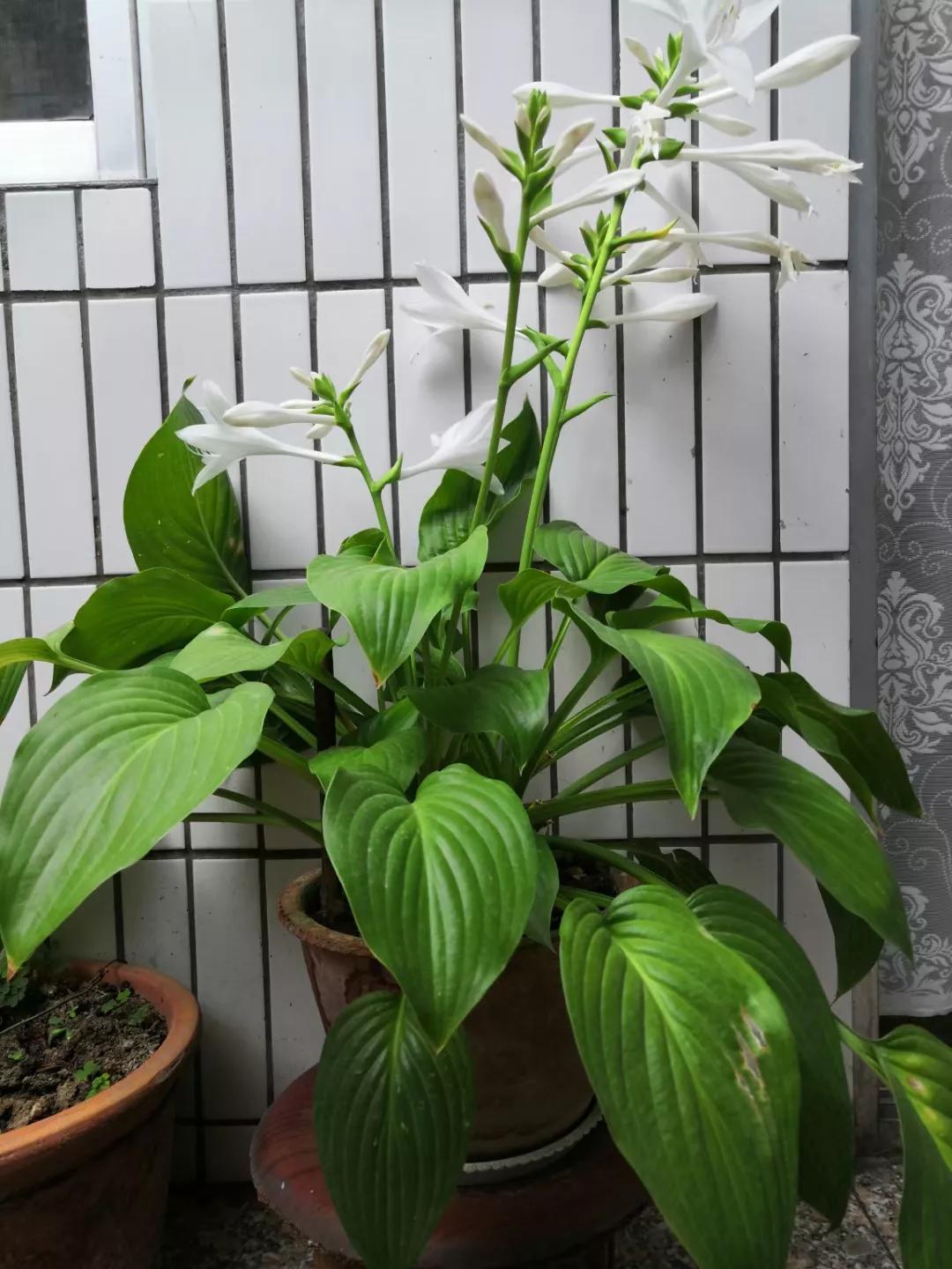 东京奥运会中国金牌夺冠回顾,2021年东京奥运会中国队金牌