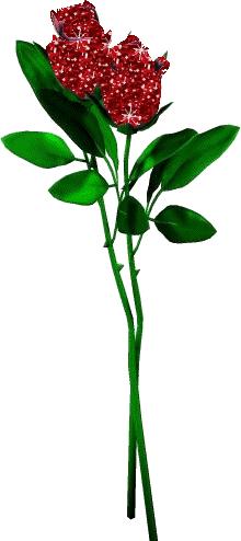 520祝福语表达爱意句句温馨美好,520祝福语送给最在乎的人