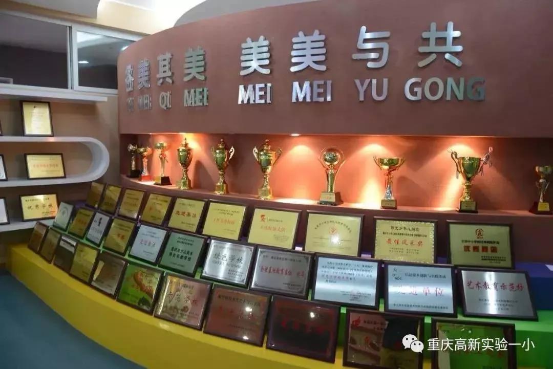 重庆沙坪坝区5朵金花小学,重庆公认最好的五个小学