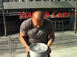 夏天必备清爽好物,夏日必备酷爽好物