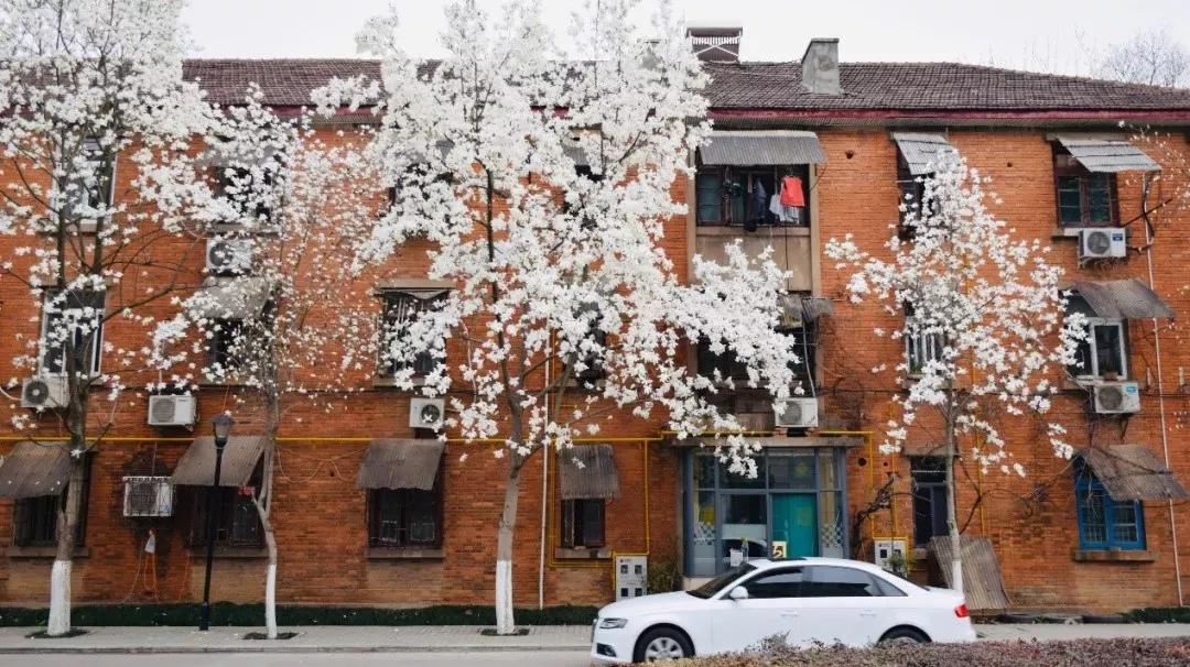 安徽合肥大学二本院校,安徽二本高校