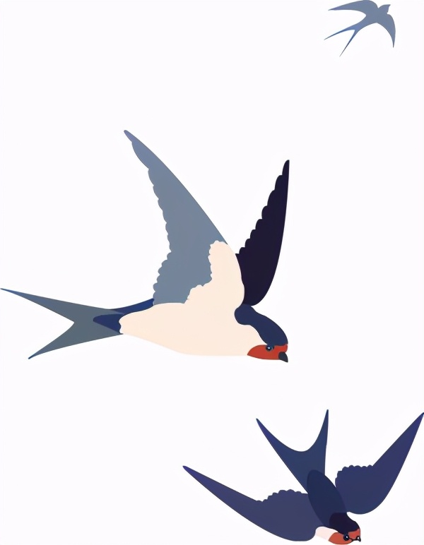 春分万物平分春色,春分是什么样的春天