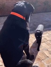 第一次人机大战电影,第一次人机战争