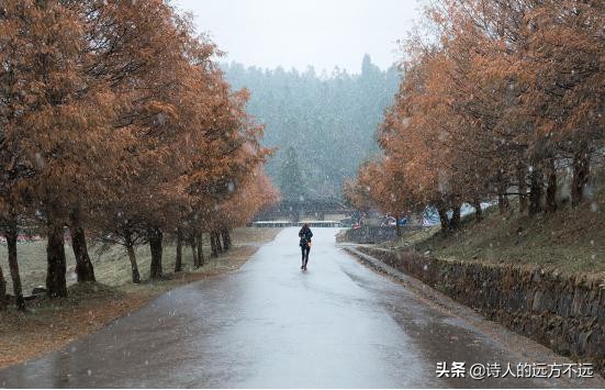 2020年仙女山第一场雪,仙女山第一场雪
