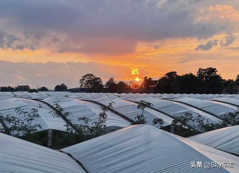 7万公里老款宝马x5,宝马x5的优缺点