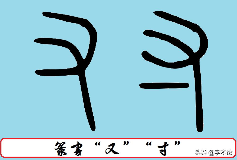 冠状病毒的解释,冠状病毒的由来感悟