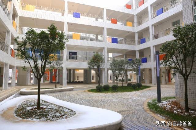 郑州外国语中学初中实验视频,郑州外国语初中和郑州实验外国语