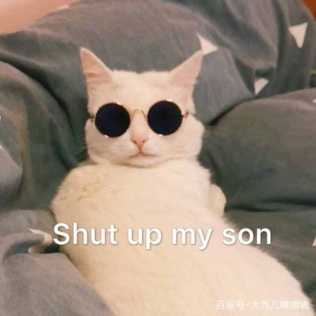 我咋办啊表情包,表情包我能怎么办