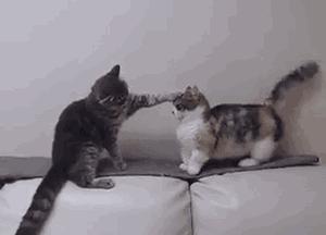 笑cry！818武汉高校的江湖别称，你的母校中枪了吗？