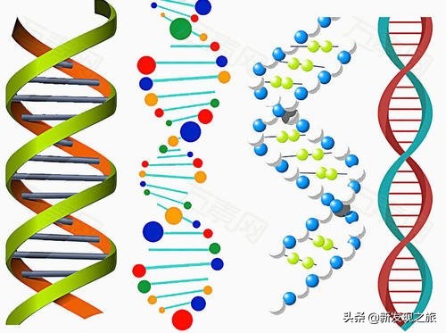 世上真的有长生不老液吗,世界上真的有长生不老仙丹